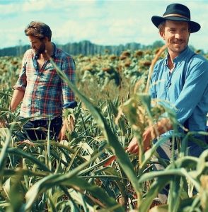 Hoefegemeinschaft Pommern 2 Landwirte auf einem Feld, der vordere mit Hut und blauem Hemd schaut zu uns und lächelt, der hintere mit einem karierten Hemd schaut zu Boden