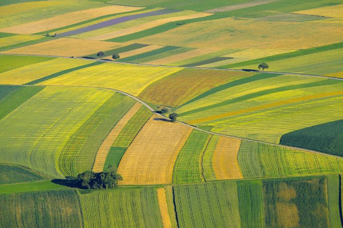 Bunte Felder in dunkelgrün, hellgrün, braun, die in Streifenmustern nebeneinander liegen