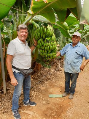 Bananenplantage mit Bauern