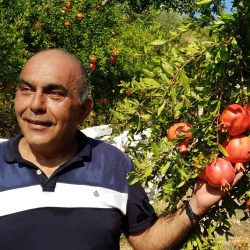 Bio-Obstkiste 6kg direkt ab Hof