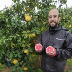 Bio-Obstkiste 6kg direkt ab Hof