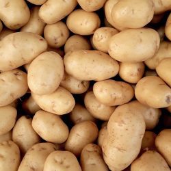 Bio-Kartoffelkiste 12kg direkt ab Hof