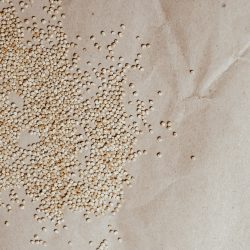 Bio Quinoa