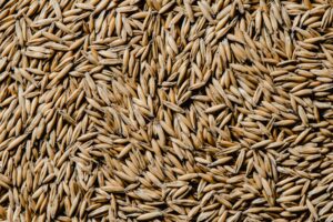 Bio Hafer ganzes Korn Heidegold