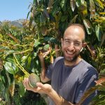 Partner: Apostolis Manousakis