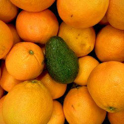 Bio-Orangen & Avocado-Kiste