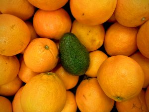 Avocado Orangen Kiste - saisonal geerntet, umweltfreundlich angebaut.