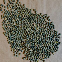 Bio Linsen grün von oben auf braunem Packpapier