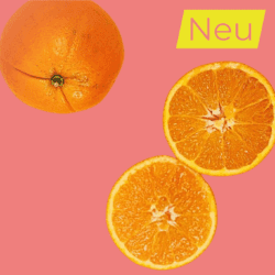 Bio Saftorangen direkt ab Hof 4 kg